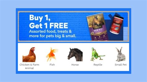 Chewy B1g1 Free Food Treats And More Southern Savers