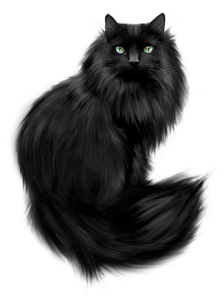 Painted Black Cat Clipart Cat Clipart Cats Black Cat Art