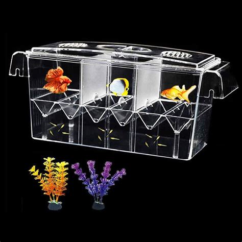 Buy Tfwadmx Fish Breeding Box Rooms Hd Aquarium Breeder Box With