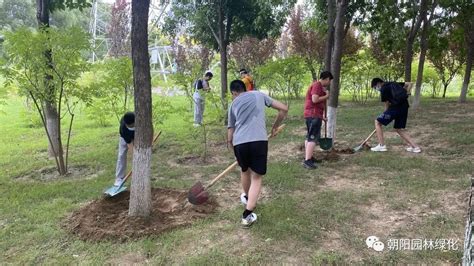 朝阳区“互联网全民义务植树”（望和公园）基地开展义务植树抚育尽责活动