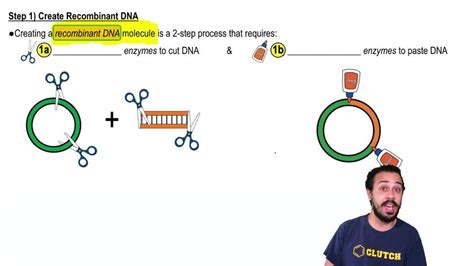 Recombinant Dna Diagram