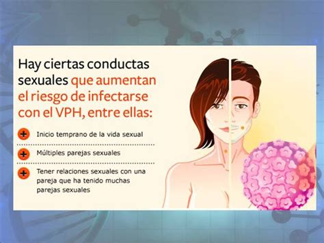 ᐅ Virus del Papiloma Humano Síntomas y Prevención