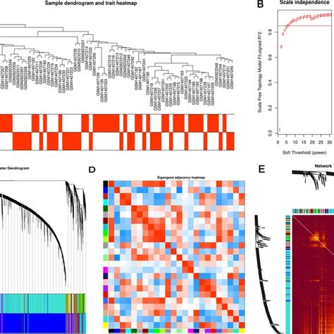 Construction Of Wgcna Networks A Sample Dendrogram And Trait Heatmap Download Scientific