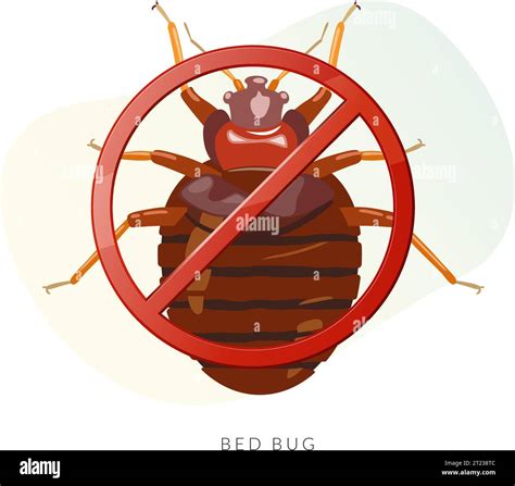 Remove Bed Bugs Genus Cimex Stock Illustration As Eps 10 File Stock