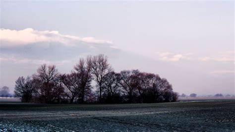 Fotos Gratis Paisaje Rbol Naturaleza Horizonte Nieve Fr O