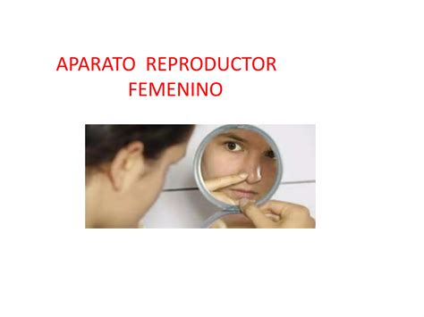 Reproducci N Humana Y Sexualidad Parte Ppt