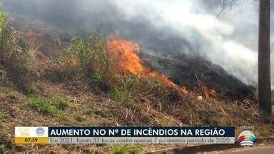 Bom Dia Fronteira Opera O Da Pol Cia Ambiental Faz O Combate Dos