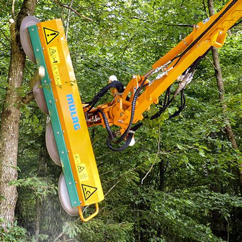 Schneidemaschine F R Obstbaumkultur Fsg Mulag Fahrzeugwerk