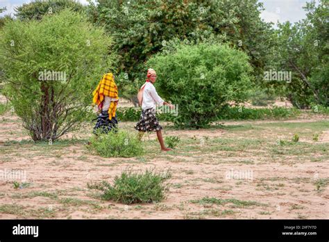 Basarwa African Women Walking In The Bush San People Traditional