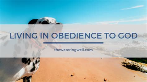 5 Ways That Obedience To God Brings Freedom