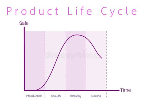 Marketing Concept Of Product Life Cycle Graph Chart Stock Vector