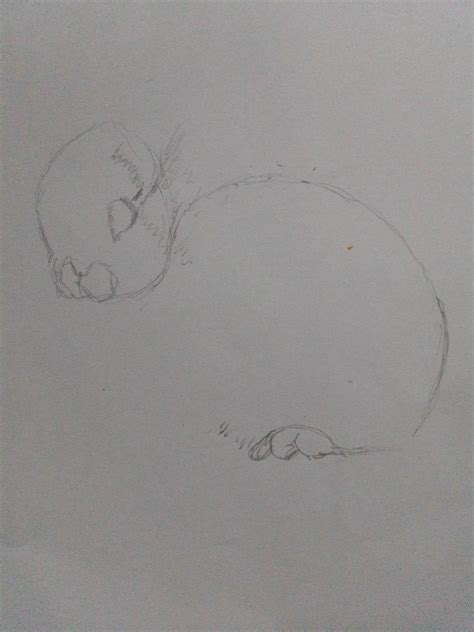 La Liebre Dibujo — Hive