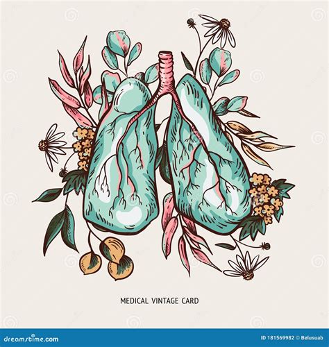 Vector Human Lungs Illustration With Flowers Bronchial Tree Healthy