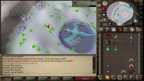 Vorkath Full Kill YouTube