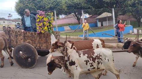 Disfile De Carro De Bois Em Carvalhopolis Mg Youtube