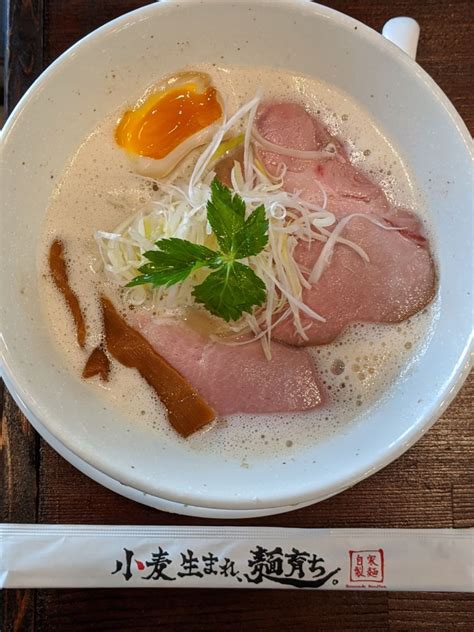 小麦生まれ、麺育ち ★★★★★【大阪】 喘息男の食日記