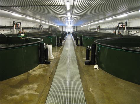 Guide To Recirculation Aquaculture Eurofish