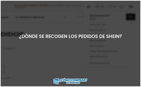 ¿dónde Se Recogen Los Pedidos De Shein Comprar En Argentina Guía De Compras 2021