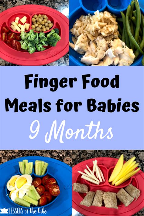 Best First Foods For Baby Purees Finger Food And Baby Led Weaning