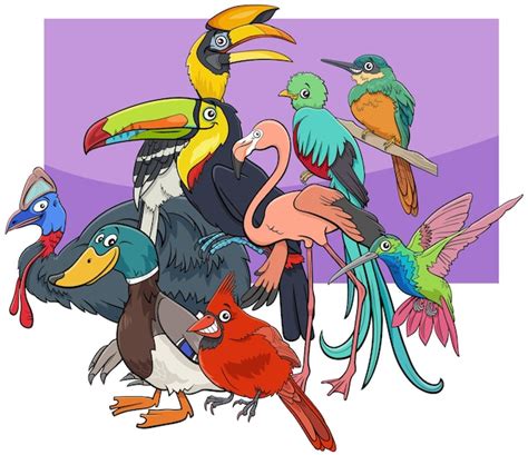 Bande Dessinée Illustration D oiseaux Drôles Groupe De Personnages D