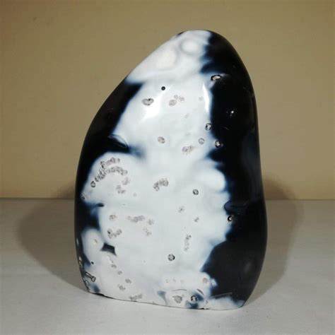 Natural Orca Agate Freeform 1 1kg Finest Fossils