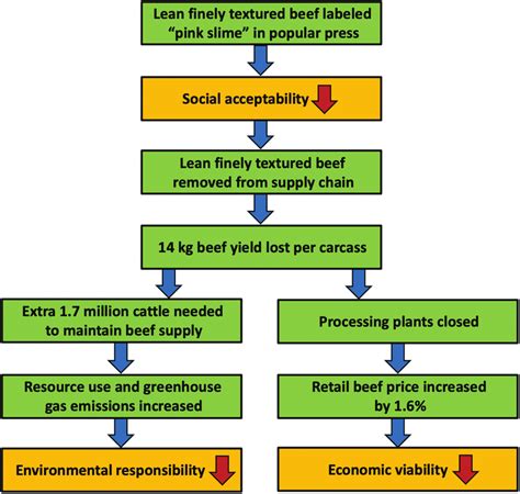 The Impact Of Lean Finely Textured Beef Removal On U S Beef Industry Download Scientific