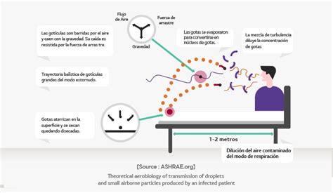 Calidad De Aire Interior Por Qu Es Tan Crucial Lg Argentina