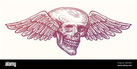 Hand Drawn Human Skull With Wings Winged Skeleton Sketch Vintage