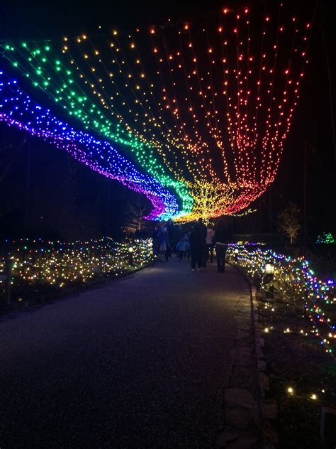 Holiday Lights at Lewis Ginter Botanical Gardens - Miss Smarty Plants