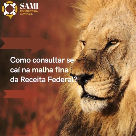 Como Consultar Se Ca Na Malha Fina Da Receita Federal Samicon