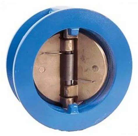 Dual Check Valve, Size: 50mm To 600mm at Rs 425 in Noida | ID: 21822663762