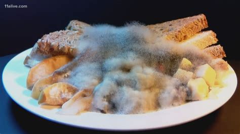 Mold On Your Food Is Okay