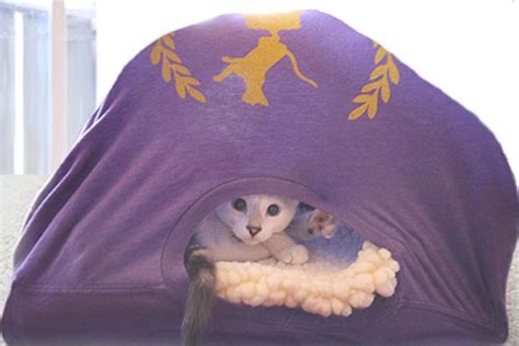 T Shirt Cat Tent