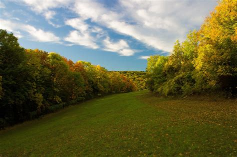 Download free photo of Autumn,deciduous trees,deciduous forest,fall ...