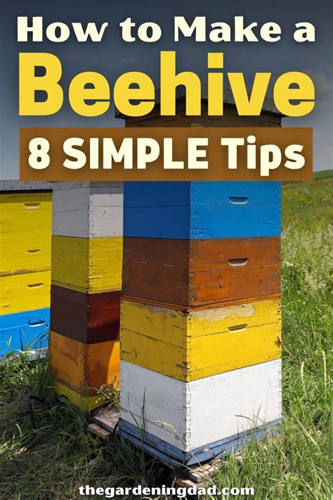 How To Make A Beehive 8 Simple Tips 2023 Bee Hive Backyard Beehive Backyard Beekeeping