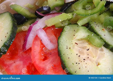 Sandwich ingredients stock photo. Image of ingredients - 442134