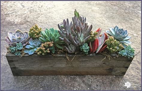 DIY Pallet Planter For Succulents The Succulent Eclectic