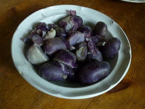 Adirondack Blue Potato Potato King And His Minions Potatoes