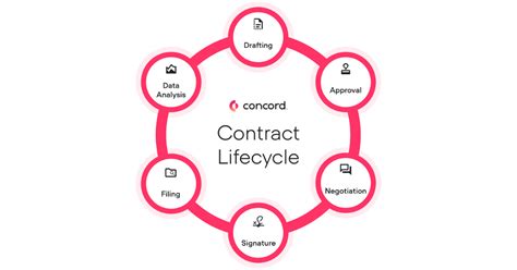 Mastering Data Lifecycles For Smarter Decision Making