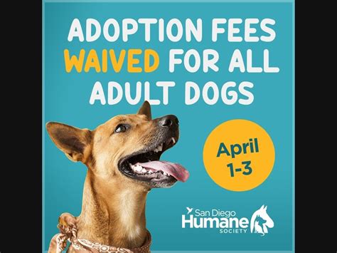 San Diego Humane Society Waives Adoption Fees This Weekend | Oceanside, CA Patch