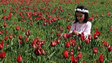 Bingöl de baharın gelişiyle nerelere gidilir Bingöl de mevsimlik