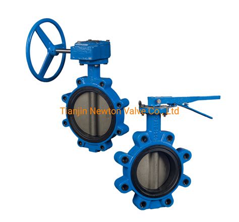 China DN700 Ductile Iron Ggg50 Lugged Butterfly Valve Pn16 Gear