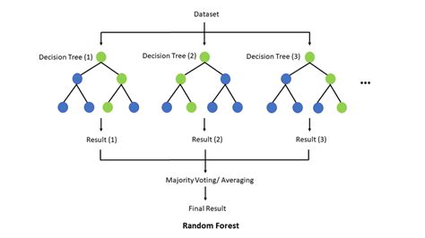 Random Forest | Interactive Chaos