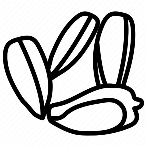 Sunflower Seeds Nuts Chia Icon Download On Iconfinder