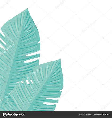 Tropical Leaves Pastel Color On White Background Stock Vector By