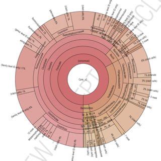 Krona Plot Of Identified Bacteria In Em Sample Through The Ion