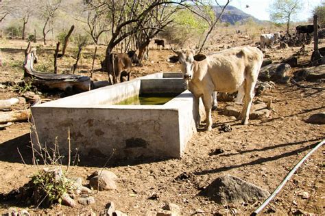 AFECTA SEQUÍA 97 DEL TERRITORIO SONORENSE Medios Obson