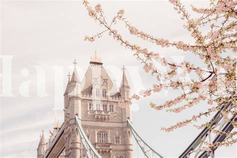 London Tower Bridge Wallpaper - Buy Online at Happywall