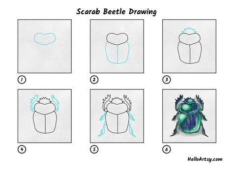 Egyptian Scarab Beetle Drawing