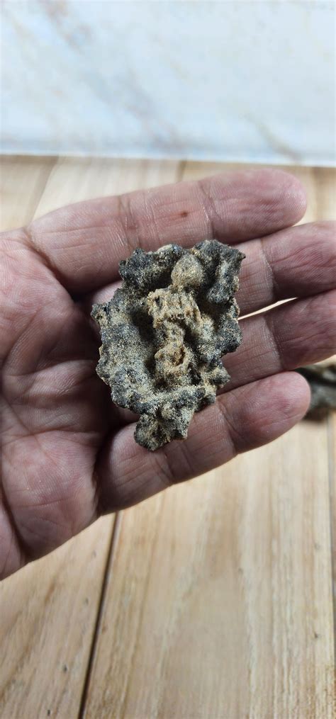 Fulgurite Lightning Glass Mermaid Fulgurite Stone Lightning Strikes Sand Glass Tube Sahara